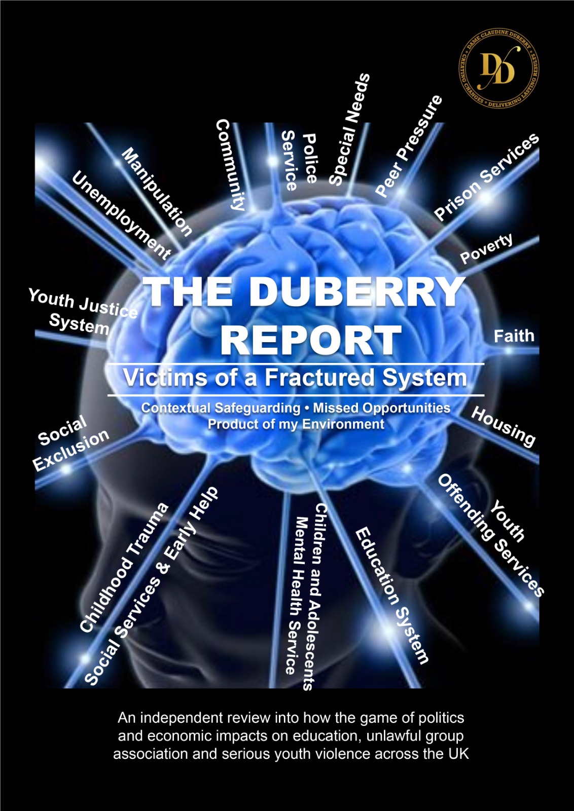 The Duberry Report book cover image