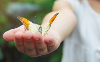 Girl holding butterfly in her outstretched hand